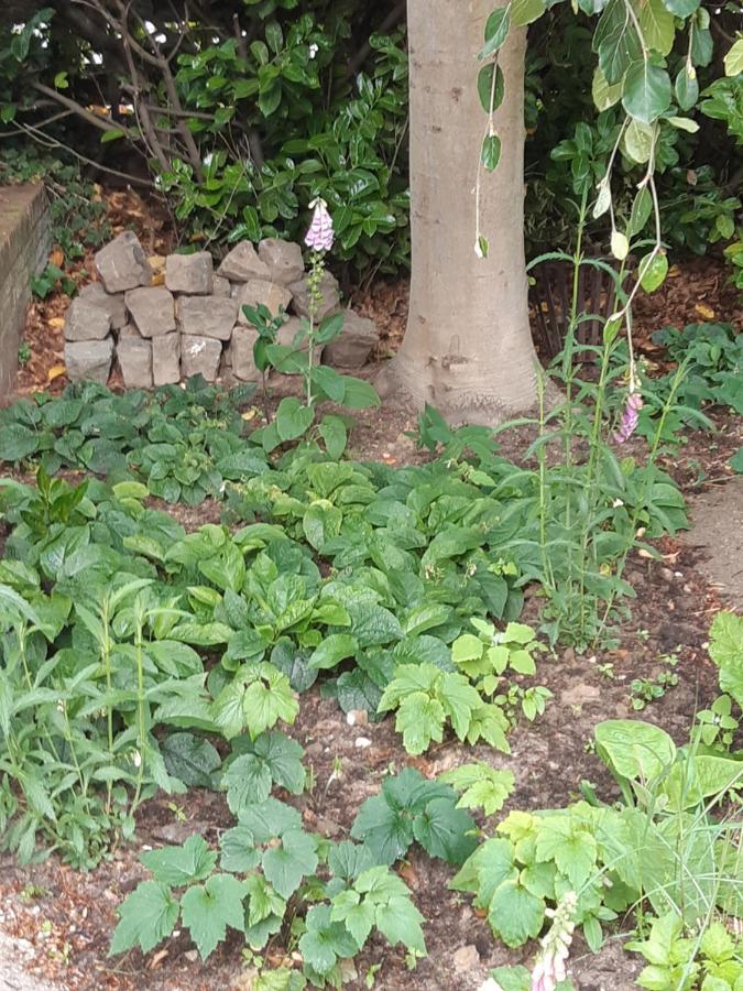 Vierlingsbeek B&B Perron 22 מראה חיצוני תמונה