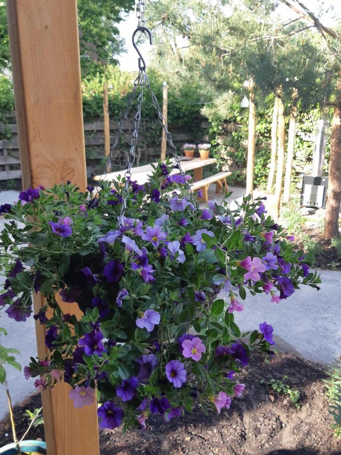 Vierlingsbeek B&B Perron 22 מראה חיצוני תמונה